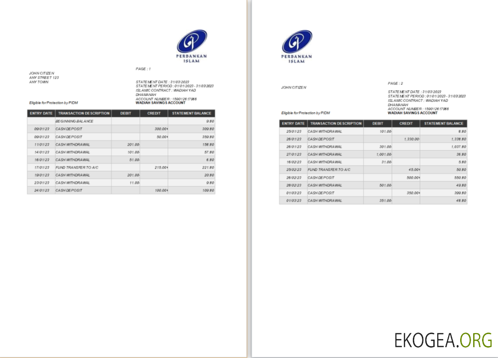 Relevé bancaire de Malaisie Perbankan Islam Modèle Word et PDF 1 scr